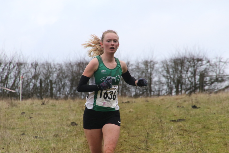 photo 2189 of a runner